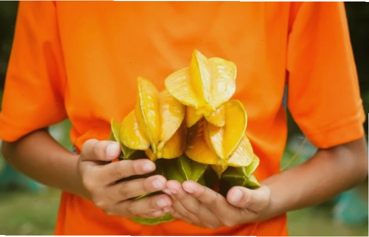Trái khế được cắt lát mỏng
