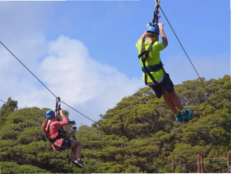Trò chơi trượt Zipline mang lại cảm giác mạnh