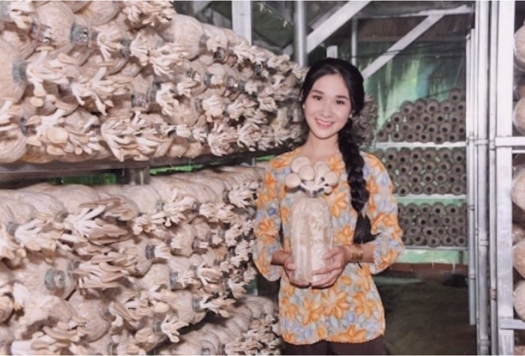 Trồng nấm là mô hình kinh doanh hiệu quả ở nông thôn