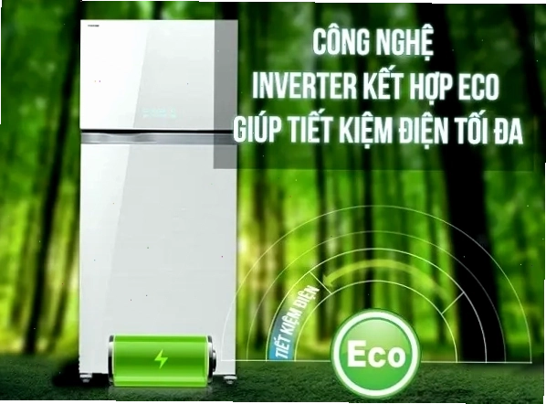 Tủ lạnh Toshiba có tốt không và cách sử dụng