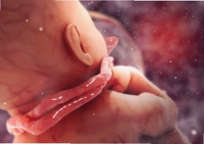 Tư vấn sức khỏe cho bà bầu về các hoạt động hàng ngày