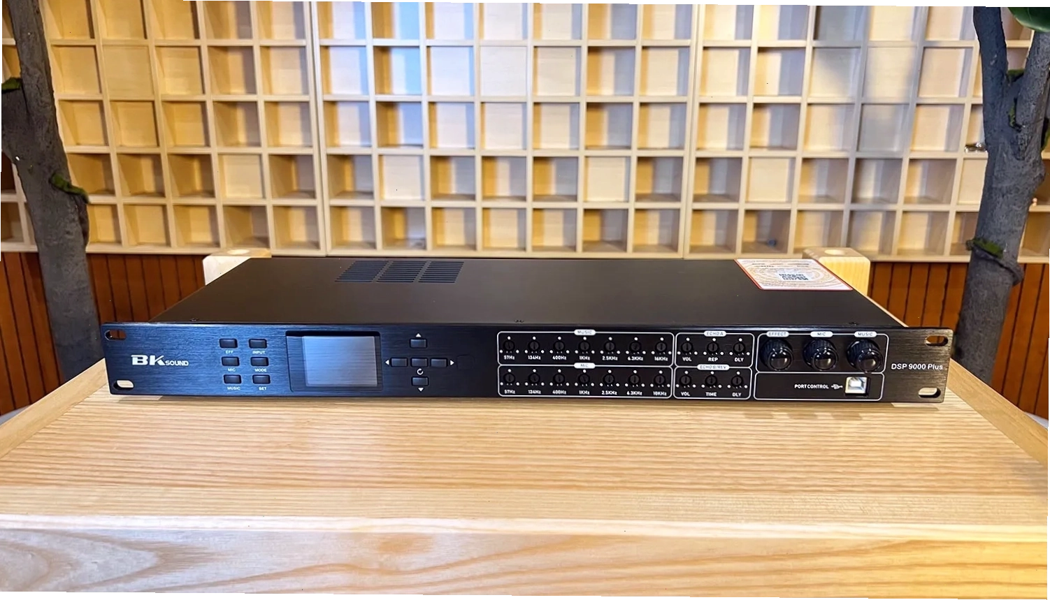 Vang số chỉnh cơ BKSound DSP 9000 Plus với tính năng chống hú hiệu quả