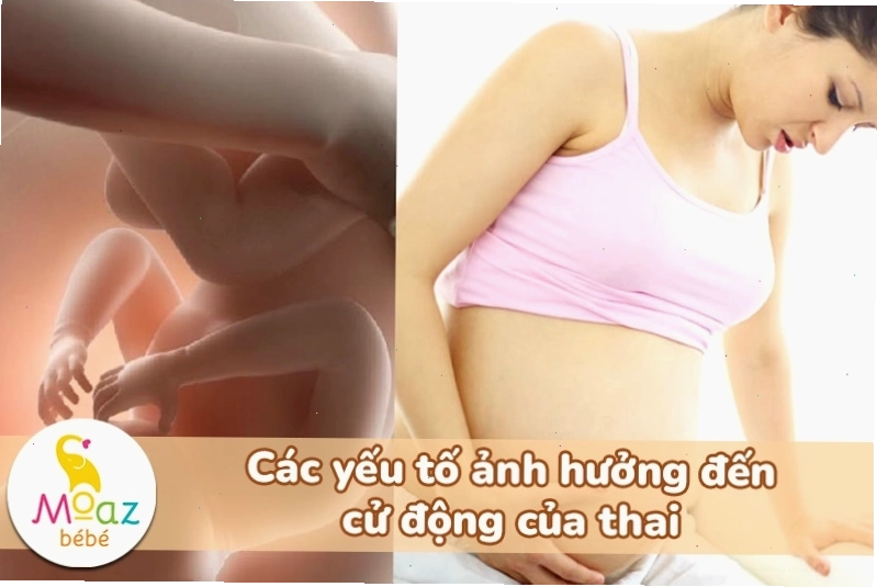 Vị trí thai nhi trong tử cung ảnh hưởng đến cử động của bé