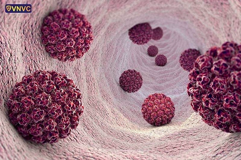 Virus HPV có thể lây lan qua nhiều con đường