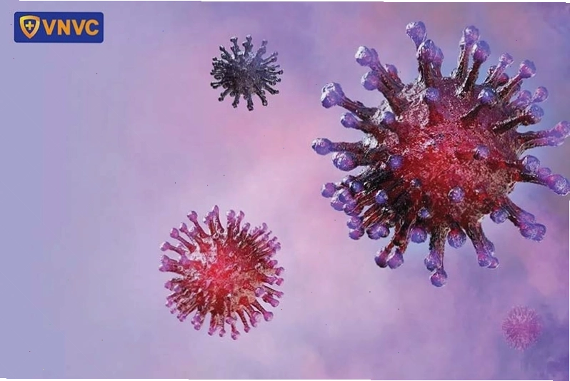Virus HPV là nguyên nhân chính gây bệnh sùi mào gà ở người