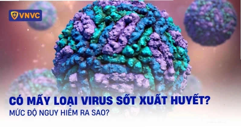 Virus sốt xuất huyết Dengue