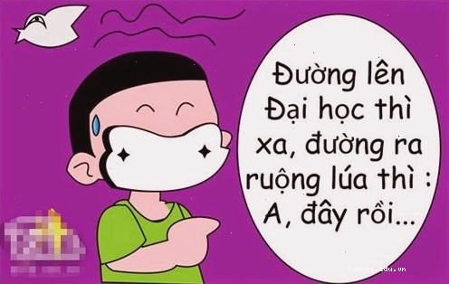 Câu nói bá đạo về học tập và thi cử của sinh viên