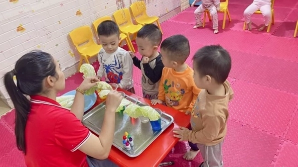 Học sinh mầm non tham gia hoạt động trải nghiệm thực tế