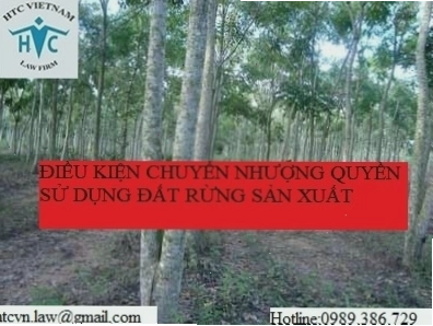 Điều kiện chuyển quyền sử dụng đất rừng sản xuất và các tài sản gắn liền với đất