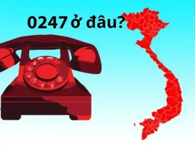 0247 Ở Đâu? Tất cả những giải đáp cho bạn