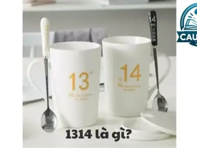  Số 1314 là gì? Giải mã ý nghĩa con số đặc biệt này 