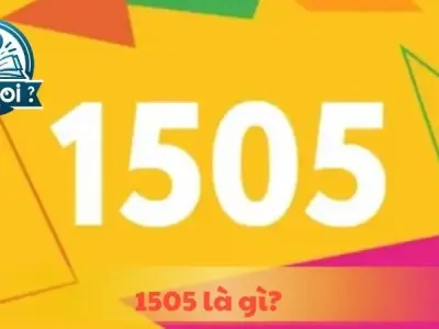 1505 là gì? Giải mã ý nghĩa con số "ngàn năm không phai"