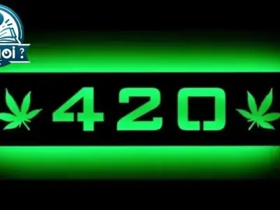 420 là gì? Giải mã bí ẩn của ngày hội cần sa