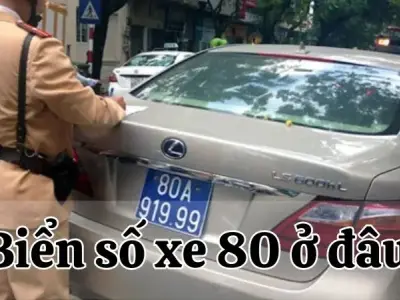 80 ở đâu? Biển số xe 80 dành cho cơ quan nào?