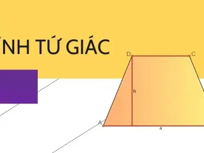 Hình tứ giác là gì? Cách nhận biết và phân loại trong hình học