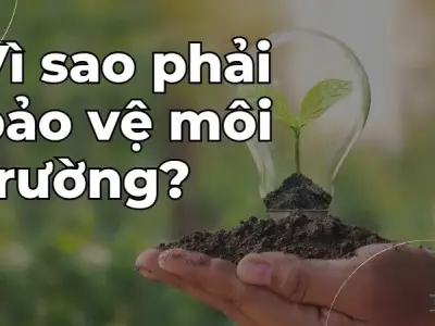 Vì sao phải bảo vệ môi trường?