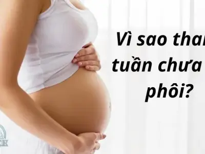 Vì sao thai 7 tuần chưa có phôi thai? Giải đáp thắc mắc chi tiết