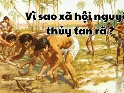 Vì sao xã hội nguyên thủy tan rã? Cùng tìm hiểu về thời tiền sử