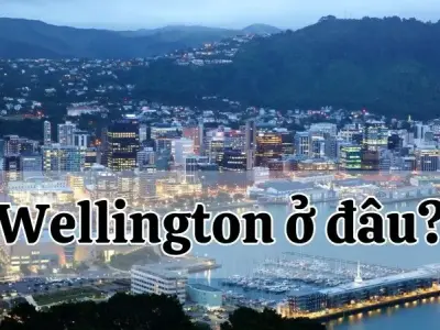 Wellington ở đâu? Nơi ẩn chứa những điều bí ẩn và thú vị
