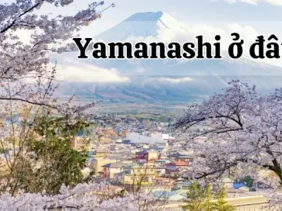 Yamanashi ở đâu? Nơi ẩn chứa những bí ẩn của thiên nhiên Nhật Bản