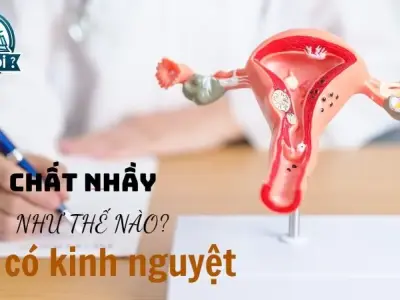 Chất nhầy như thế nào là có kinh? Dấu hiệu nhận biết của tử cung