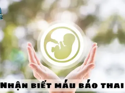 Máu báo thai như thế nào? Giải mã các dấu hiệu thai kỳ sớm!