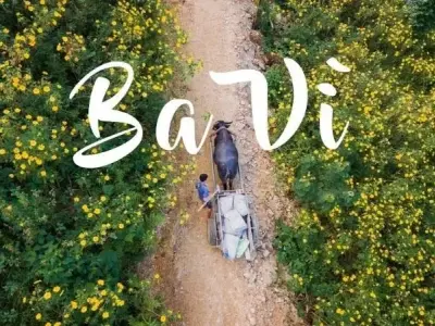 Ba Vì ở đâu? Khám phá địa danh du lịch nổi tiếng gần Hà Nội
