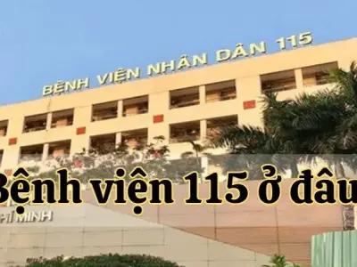 Tìm kiếm nhanh chóng - Bệnh viện 115 ở đâu?