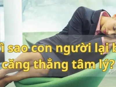 Vì sao con người lại bị căng thẳng tâm lý? - Giải mã nguyên nhân và giải pháp
