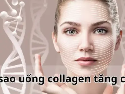 Vì sao uống collagen tăng cân? Bí mật đằng sau những lời đồn