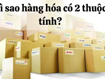 Vì sao hàng hóa cần có cả 2 thuộc tính?