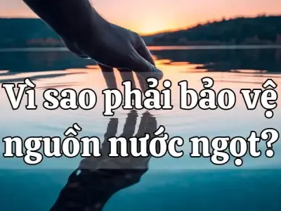 Vì sao phải bảo vệ nguồn nước ngọt? Nguy cơ ô nhiễm và cạn kiệt nước
