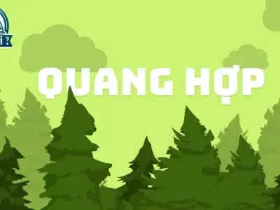 Tại sao quang hợp quyết định năng suất cây trồng?