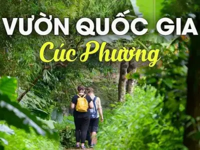 Rừng Cúc Phương ở đâu? - Hướng dẫn chi tiết cho du khách