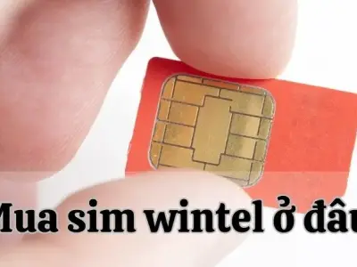Mua sim wintel ở đâu? Hướng dẫn tìm mua sim wintel chất lượng