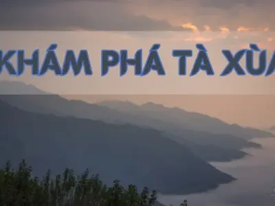 Khám phá Tà Xùa ở đâu - "Đà lạt thứ hai" của Việt Nam