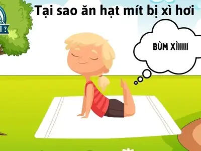 Ăn hạt mít có thể gây xì hơi – Đây là lý do và cách xử lý