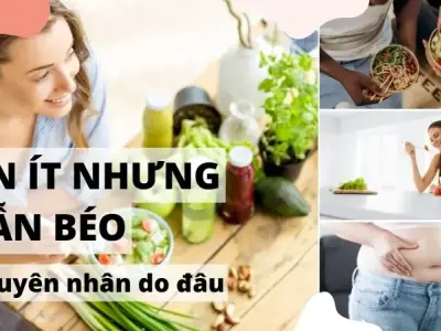 Tại sao ăn ít vẫn béo? Khám phá nguyên nhân không ngờ!
