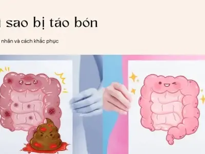 Ngạc nhiên với các nguyên nhân phổ biến gây táo bón mà bạn không ngờ tới