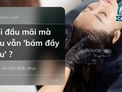 Gội đầu mãi mà gàu vẫn 'bám đầy đầu'? Đây là lý do!