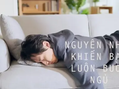 Luôn trong trạng thái buồn ngủ - 5 điều bạn cần biết để khắc phục