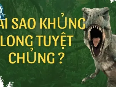 Vụ va chạm khổng lồ: Sự thật đằng sau sự tuyệt chủng của khủng long