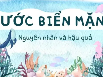 Tại sao nước biển lại mặn? Nguyên nhân và hậu quả