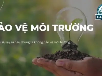 Điều gì sẽ xảy ra nếu chúng ta không bảo vệ môi trường