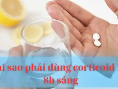 Hoá giải bí mật : Tại sao phải dùng corticoid lúc 8h sáng