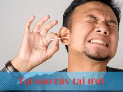 Tại sao ráy tai ướt : Nguyên nhân và cách khắc phục