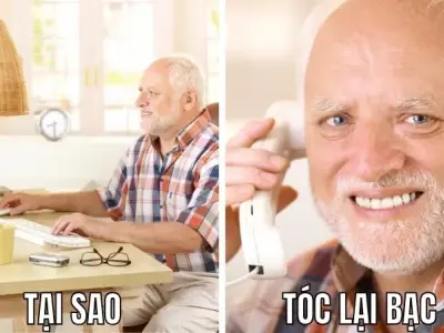 Tóc bạc không chỉ do tuổi tác - Các yếu tố ảnh hưởng bạn cần biết