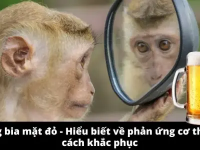 Uống bia mặt đỏ - Hiểu biết về phản ứng cơ thể và cách khắc phục