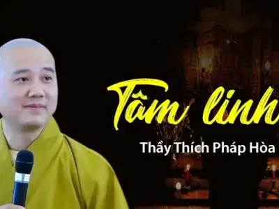 Lý do vì sao thầy Pháp Hoà không về Việt Nam?