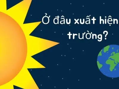 Chìa khóa cho sự phát triển: Ở đâu xuất hiện từ trường?